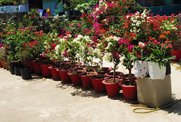 The Bihar Royal Nursery