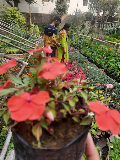 The Bihar Royal Nursery