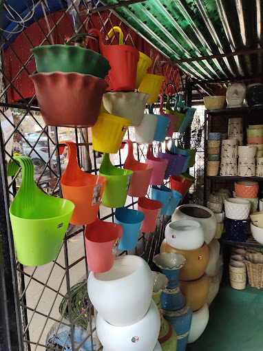 Prakash Nursery and Florist