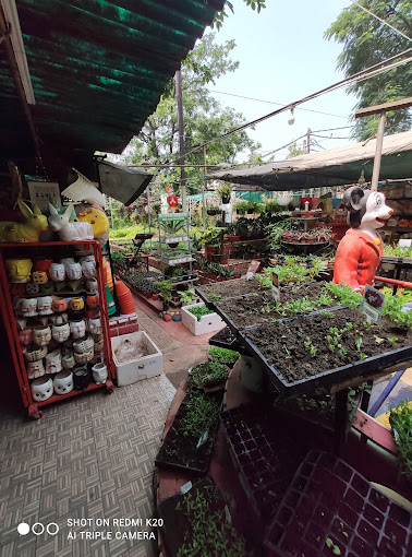 Prakash Nursery and Florist