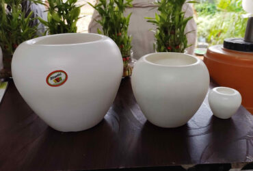 Vrindavan Pushp Vatika Nursery